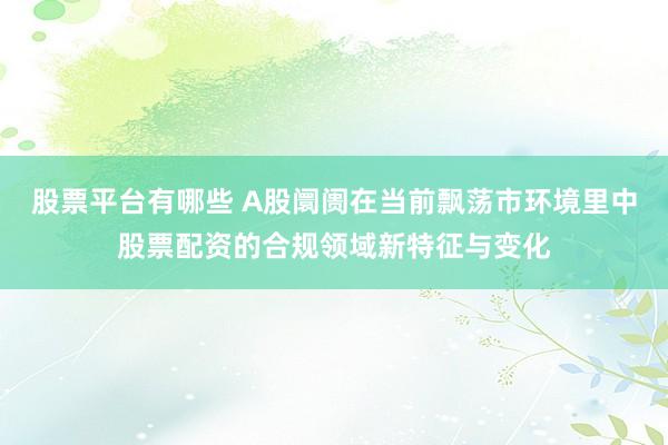 股票平台有哪些 A股阛阓在当前飘荡市环境里中股票配资的合规领域新特征与变化